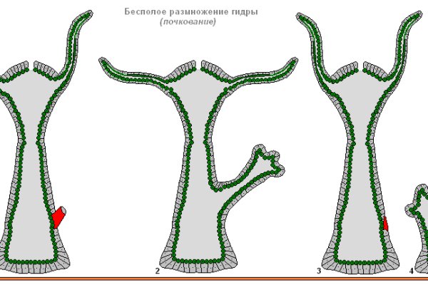 Кракен русский