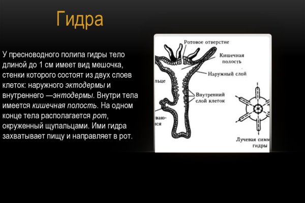 Как зарегаться на кракене