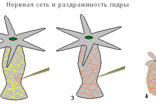 Kraken зеркало официальный