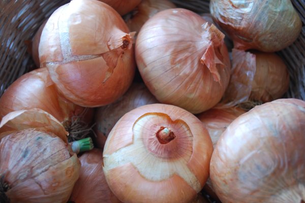 Onion сайт кракен