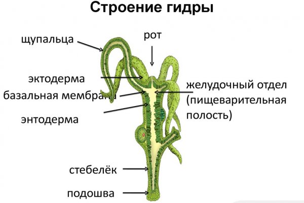 Кракен зайти зеркало