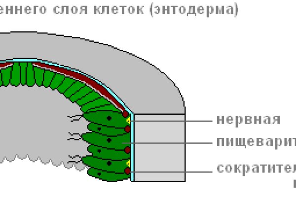 Кракен сайт 2krnk cc