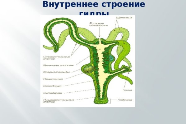 Сайт кракен гидра